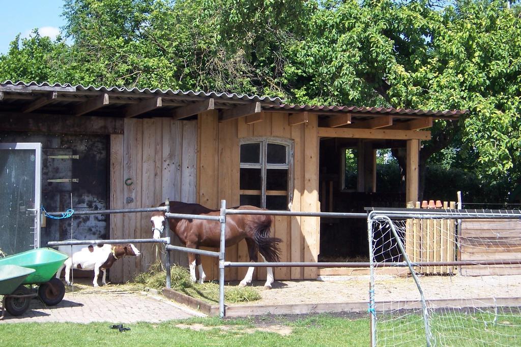 Landhotel Zum Adler Oberbechingen المظهر الخارجي الصورة